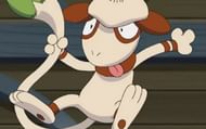 Image via The Pokemon Company